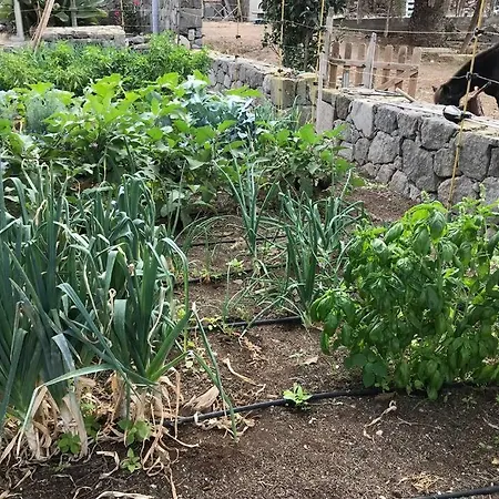 Apartamento Casita Bioclimatica En El Campo *